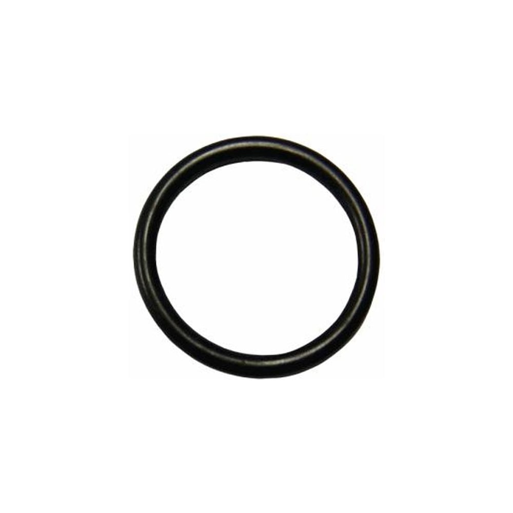 Whale Watermaster Socket O Ring AK3031 10 Per Pack